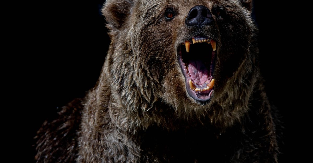 Bitcoin Dips Below $21K; Why the Current Bear Market Differs From 2018